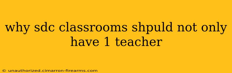 why sdc classrooms shpuld not only have 1 teacher