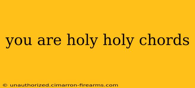 you are holy holy chords