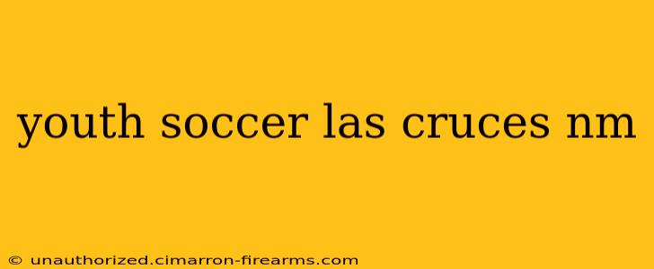 youth soccer las cruces nm